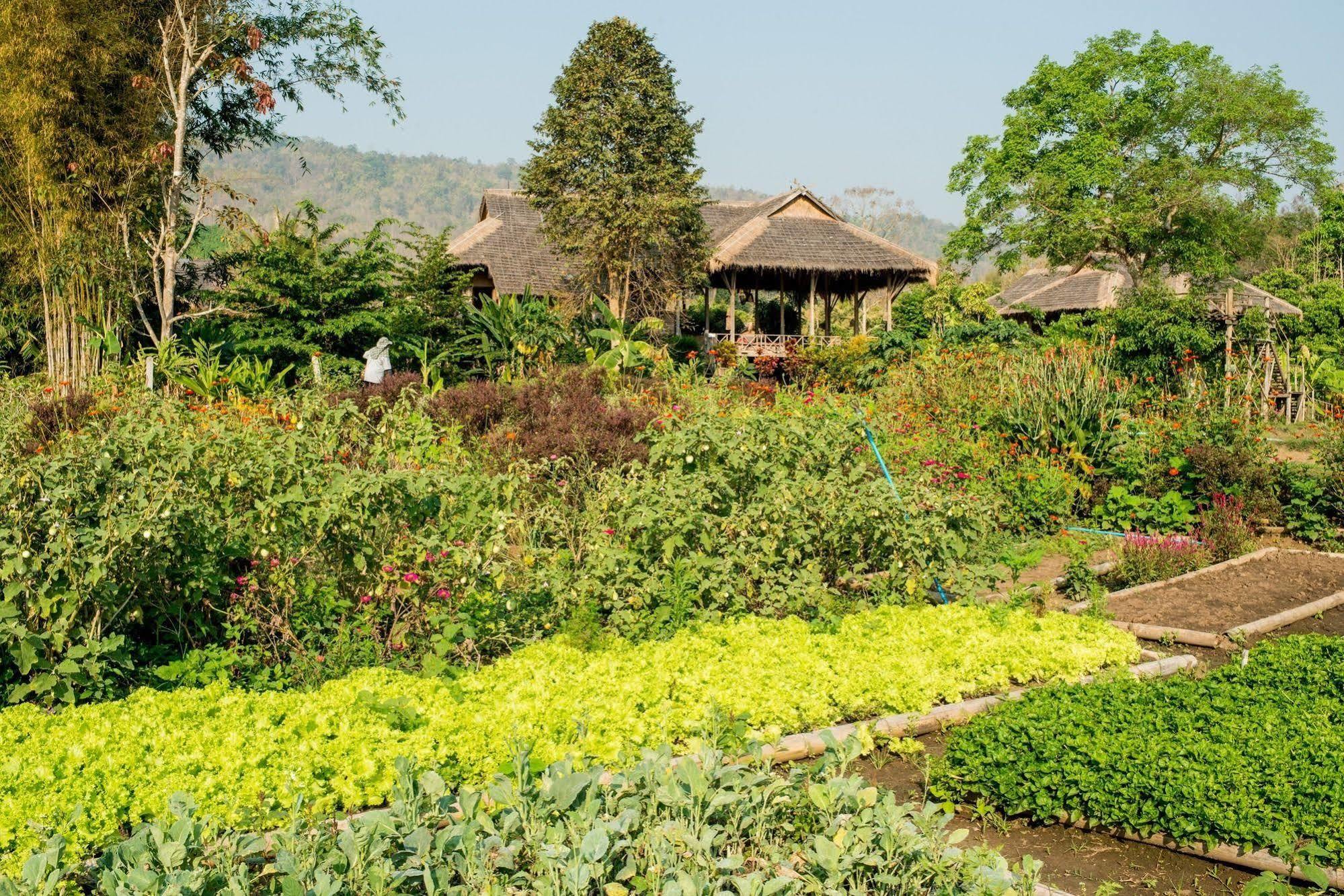 Lisu Lodge Chiang Mai Exterior foto